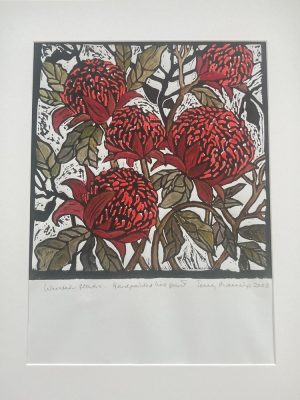 Waratah Flowers by Jennifer Manning