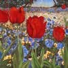 Red Tulips – Floriade by Roger Beale AO