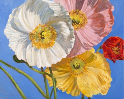 Four Poppies by Roger Beale AO