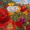 Spring Poppies by Roger Beale AO