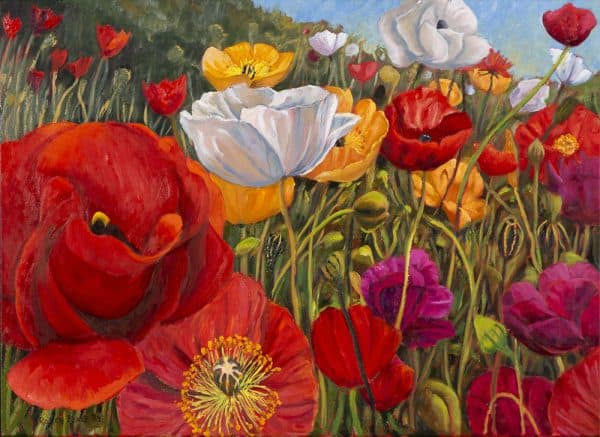 Spring Poppies by Roger Beale AO