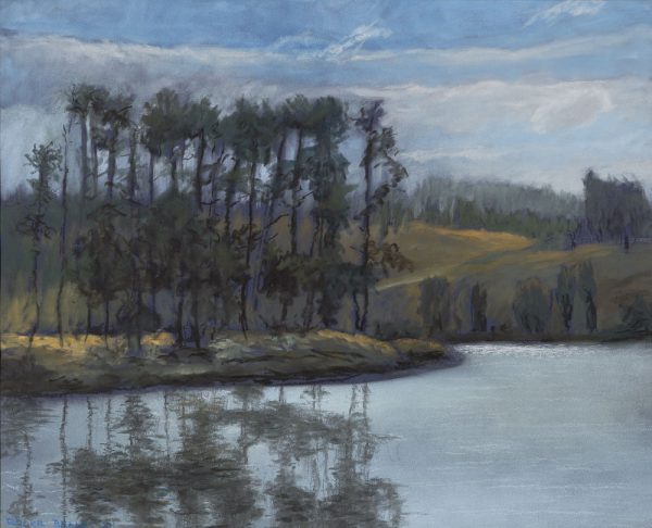 Scrivener Pines – Lake Burley Griffin by Roger Beale AO