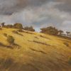 Golden Afternoon - Canberra by Roger Beale AO