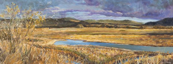 Canberra Plains by Roger Beale AO