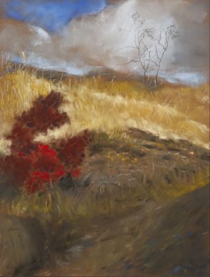 Afternoon sun with red bush Deakin by Roger Beale AO