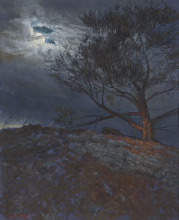 Moonlit pine – Deakin Anticline by Roger Beale AO