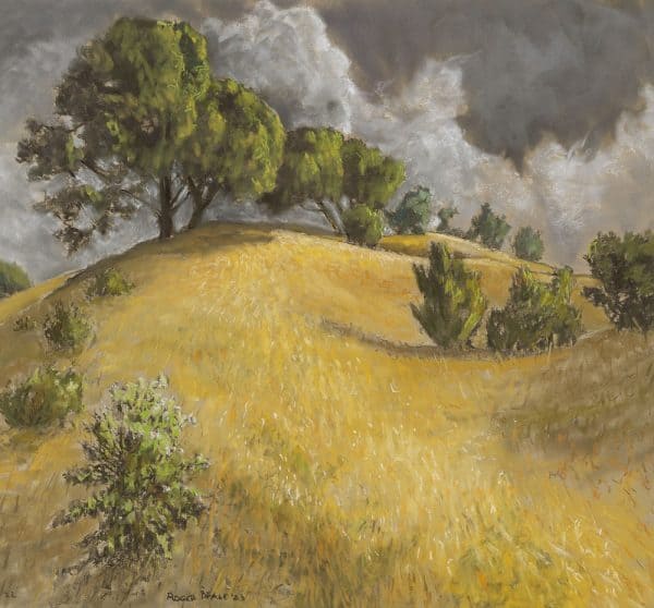 Canberra Sunlight and Storm by Roger Beale AO