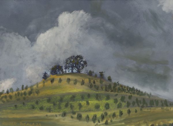 Arboretum Clouds by Roger Beale AO