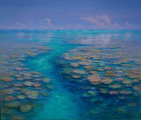 Coral Passage Barrier Reef Series by David Brayshaw_