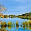 Autumn finale, Lake Burley Griffin by Chrissie Lloyd