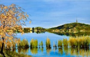 Autumn finale, Lake Burley Griffin by Chrissie Lloyd