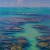 Coral Channel, Lizard Island by David Brayshaw