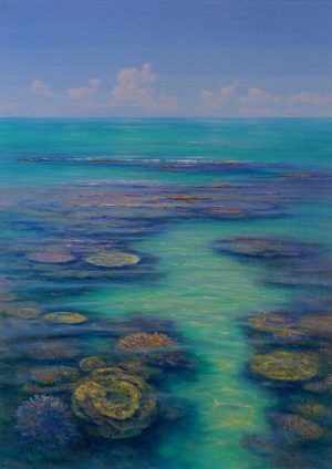 Coral Channel, Lizard Island by David Brayshaw