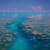 Coral Passage Barrier Reef Series by David Brayshaw_