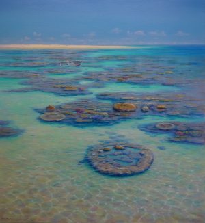 Coral Reef Garden by David Brayshaw_