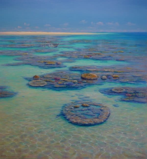 Coral Reef Garden by David Brayshaw_