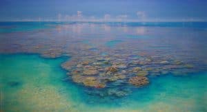 Coral Shelf, Hardy Reef by David Brayshaw_