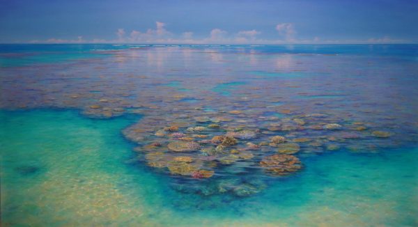 Coral Shelf, Hardy Reef by David Brayshaw_