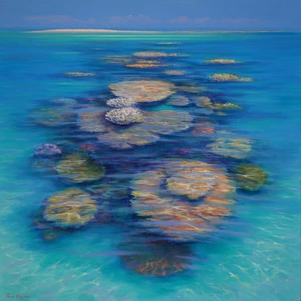 Hard and Soft Corals by David Brayshaw