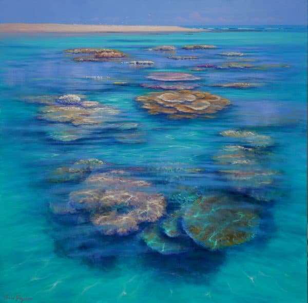 Reef Garden Study by David Brayshaw