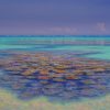 Reef Shallows, Barrier Reef Series by David Brayshaw_