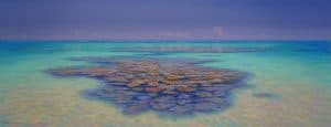 Reef Shallows, Barrier Reef Series by David Brayshaw_